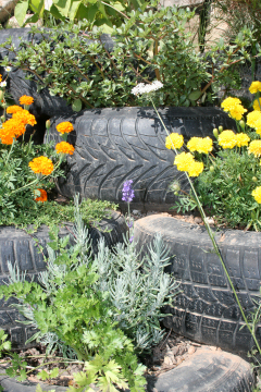 Shy, retiring wall flowersThe ugly tyres soon disappeared under a blanket of flowers.